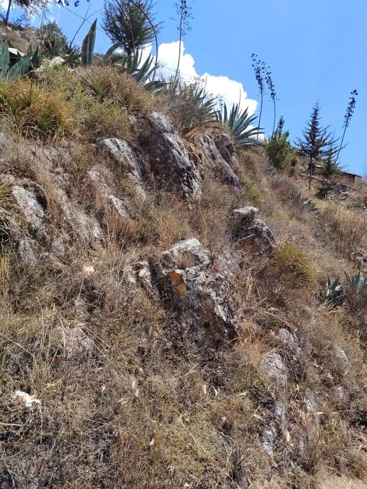 Lote en Cajamarca, Cajamarca — foto 2