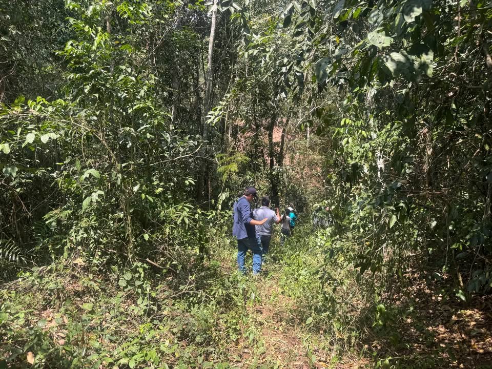 Chacra en Tarapoto, San Martín — foto 2