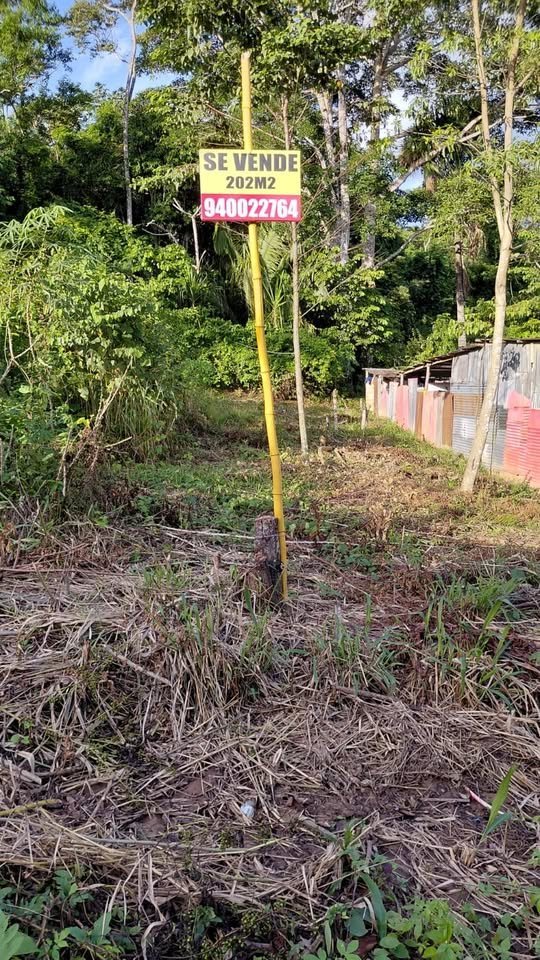 Terreno en Tarapoto, San Martín — foto 2