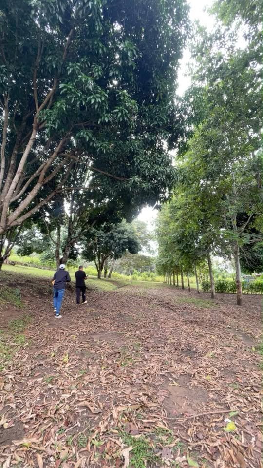 Lote en Tarapoto, San Martín — foto 3