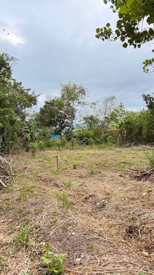Lote en Tarapoto, San Martín — foto 5