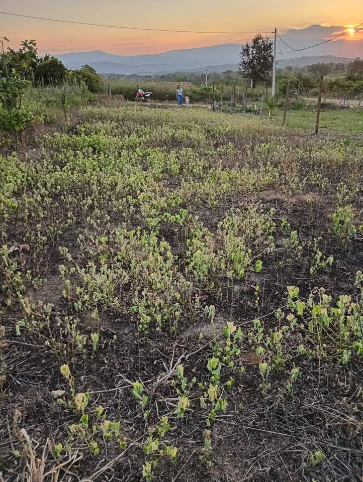 Lote en La Banda de Shilcayo, San Martín — foto 3