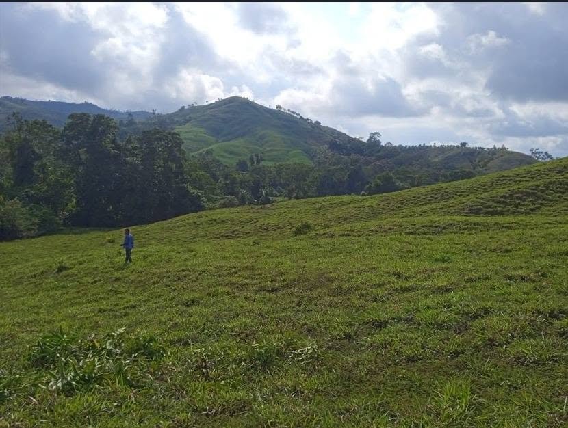 Chacra en San José de Sisa, San Martín — foto 2
