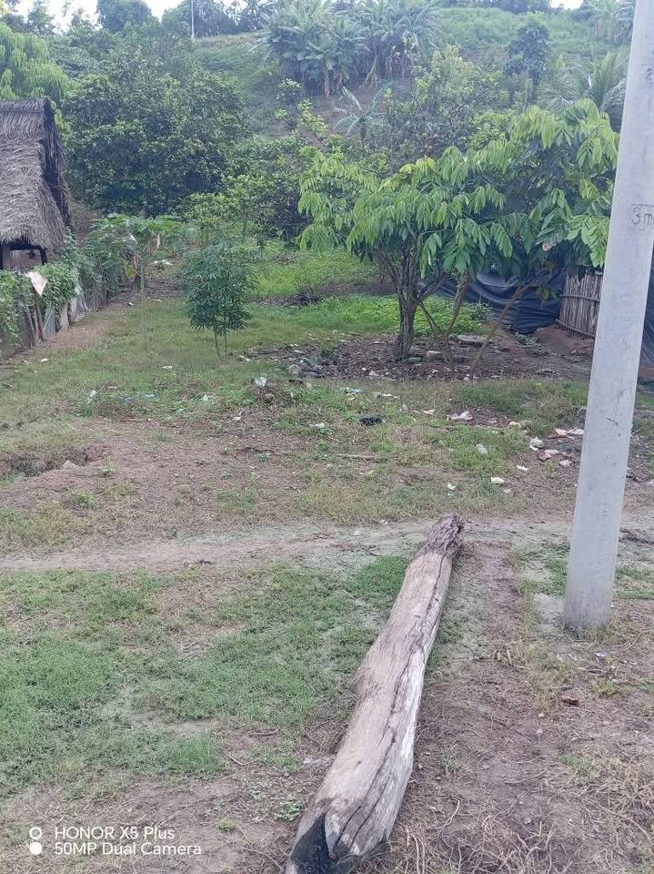 Lote en Pampa Hermosa, Loreto — foto 2