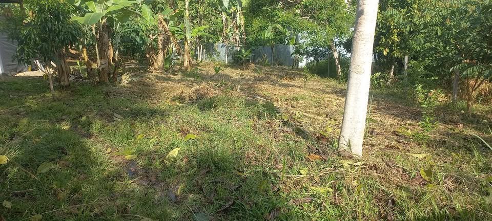 Lote en Lamas, San Martín — foto 6