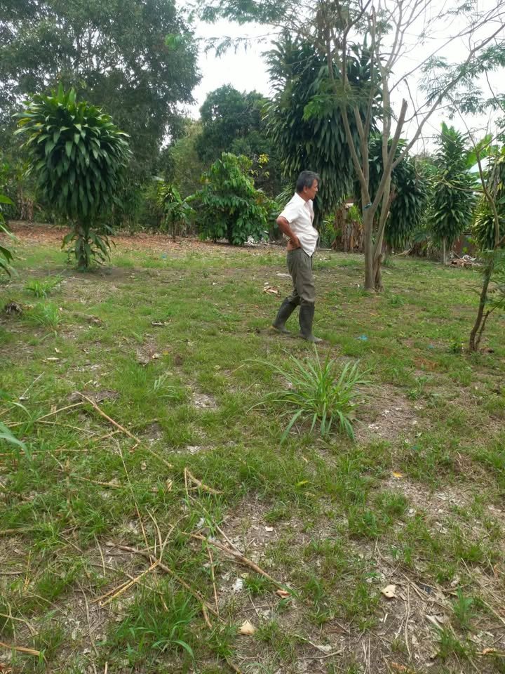 Lote en Cacatachi, San Martín — foto 2