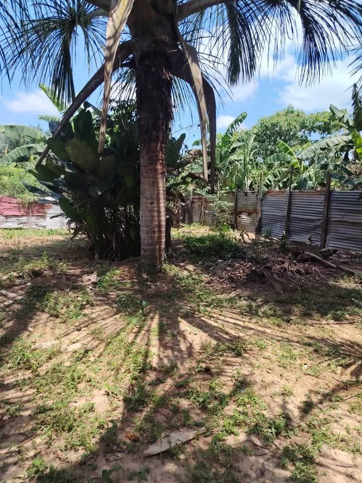 Lote en Callería, Ucayali — foto 3