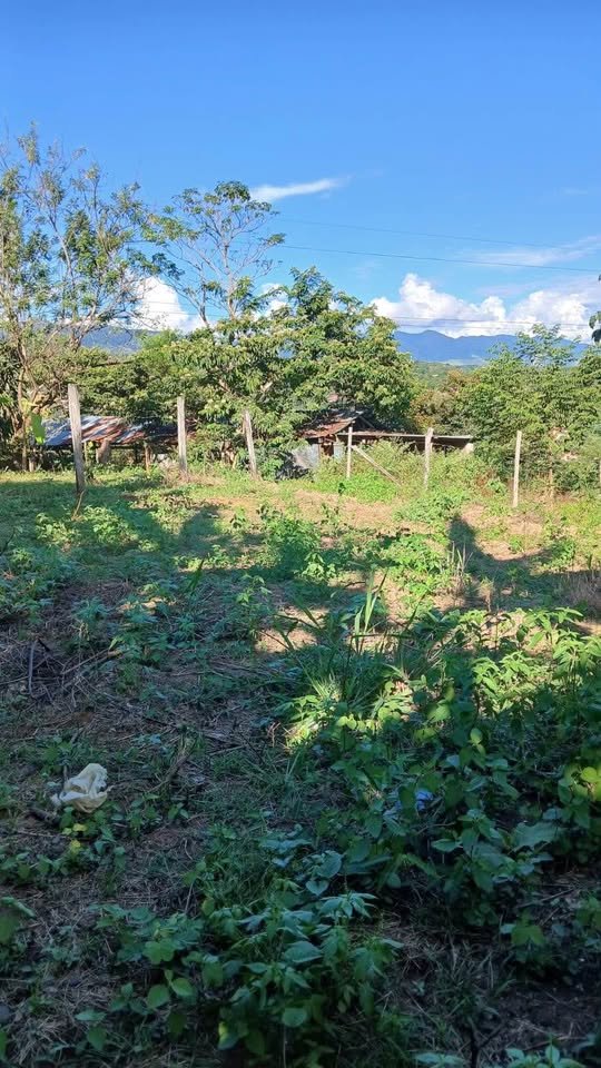 Lote en Tarapoto, San Martín — foto 2