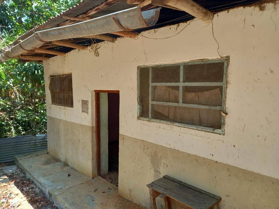 Lote en Lamas, San Martín — foto 3