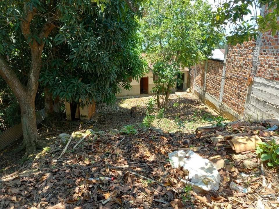 Lote en Lamas, San Martín — foto 4