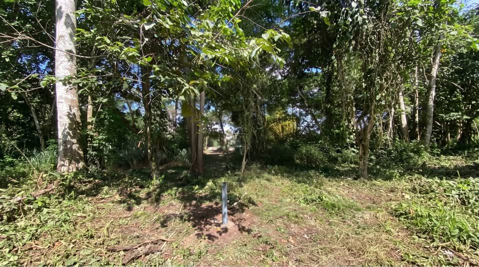 Lote en Morales, San Martín — foto 4