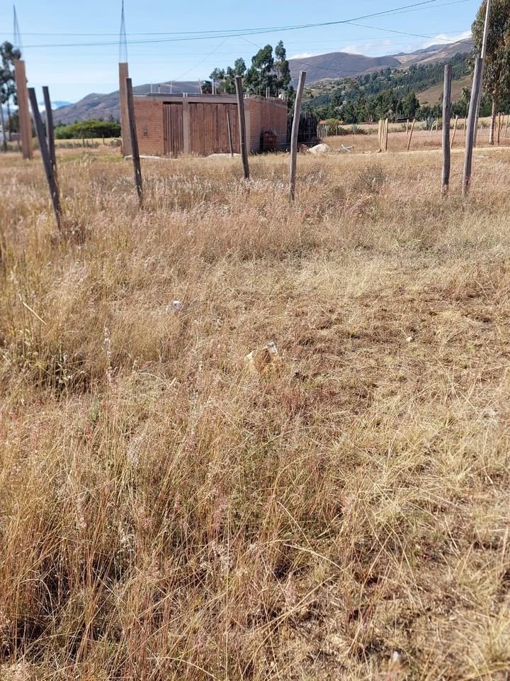 Lote en Cajamarca, Cajamarca — foto 5