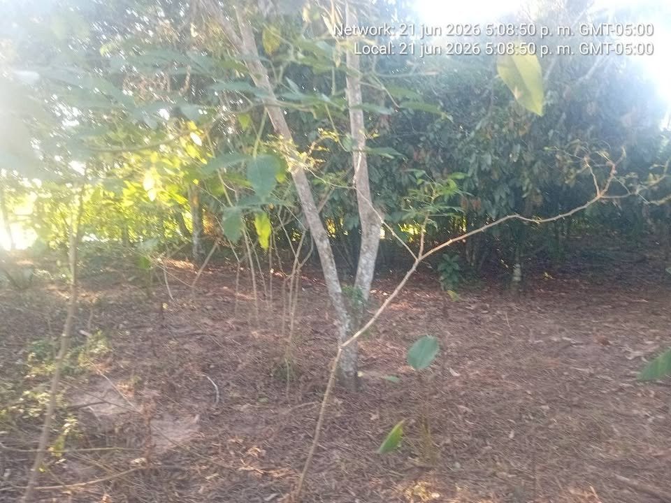 Terreno en Tarapoto, San Martín — foto 6