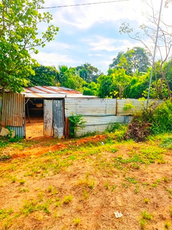 Lote en Tarapoto, San Martín — foto 3