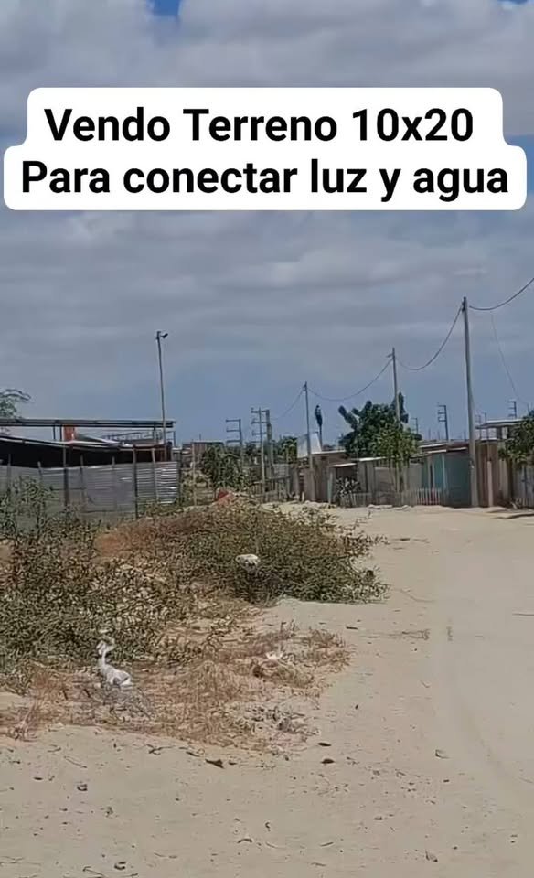 Lote en Castilla, Piura — foto 2