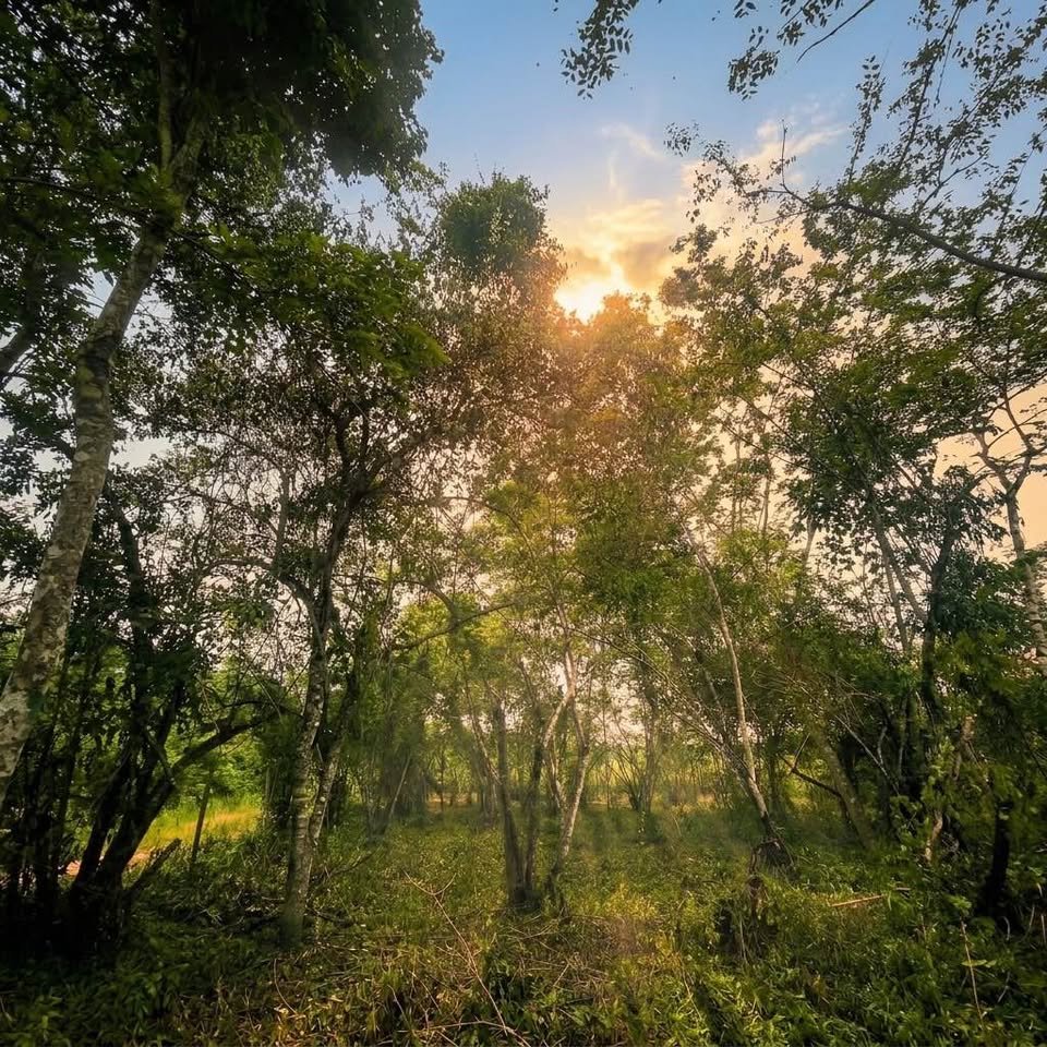 Lote en La Banda de Shilcayo, San Martín — foto 5