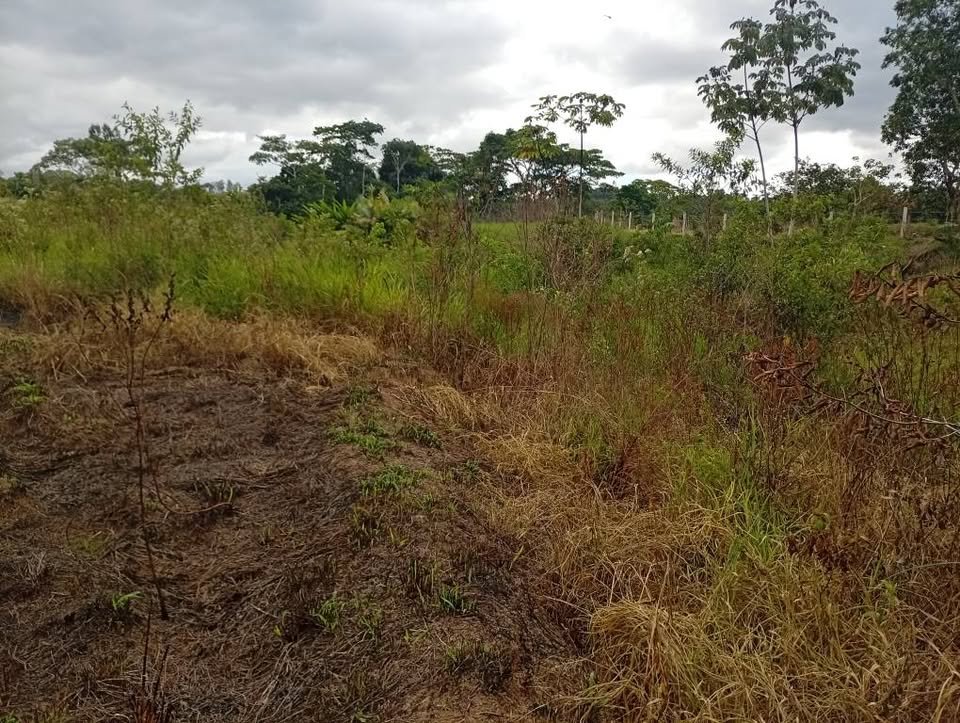 Terreno en Moyobamba, San Martín — foto 4