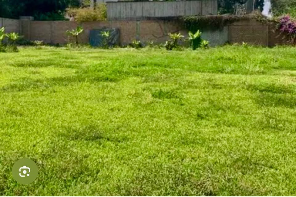 Lote en Tarapoto, San Martín — foto 3