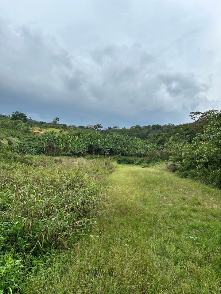 Lote en Tarapoto, San Martín — foto 5