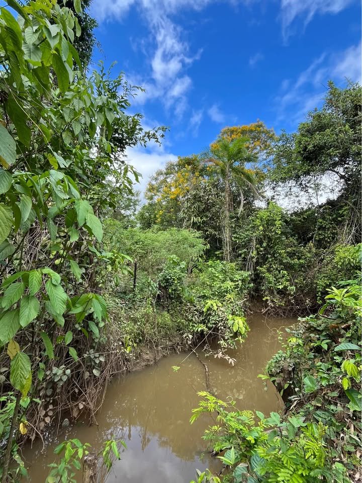 Terreno en Yurimaguas, Loreto — foto 2