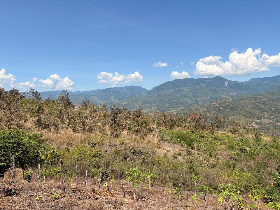 Terreno en La Banda de Shilcayo, San Martín — foto 2