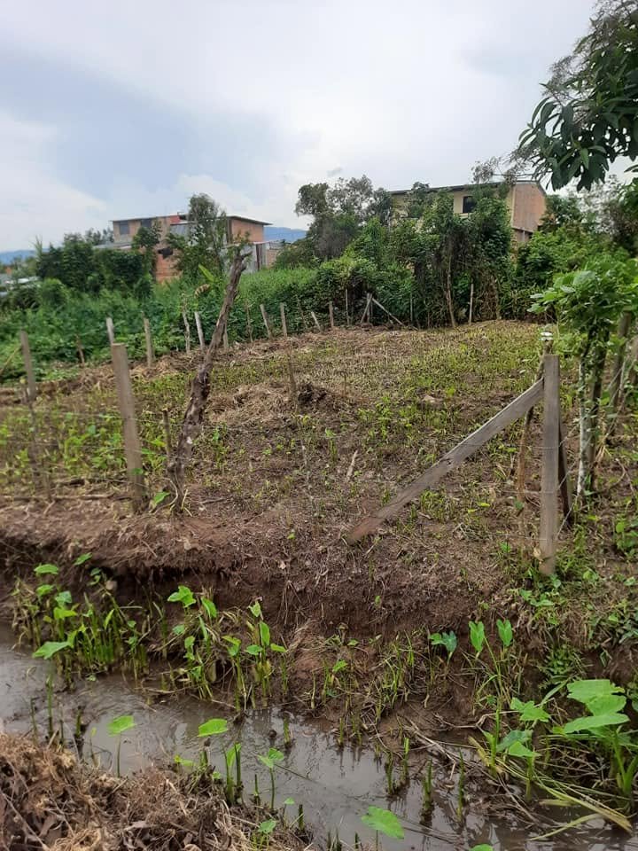 Lote en Moyobamba, San Martín — foto 3