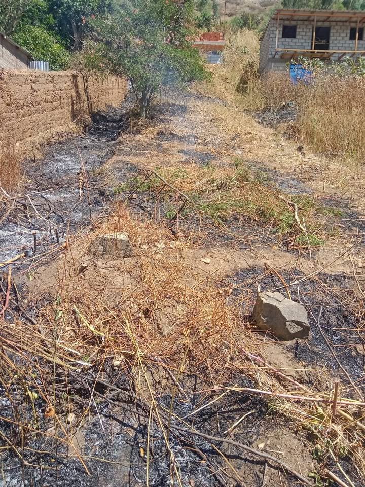 Lote en Mariano Dámaso Beraún, Huánuco — foto 2