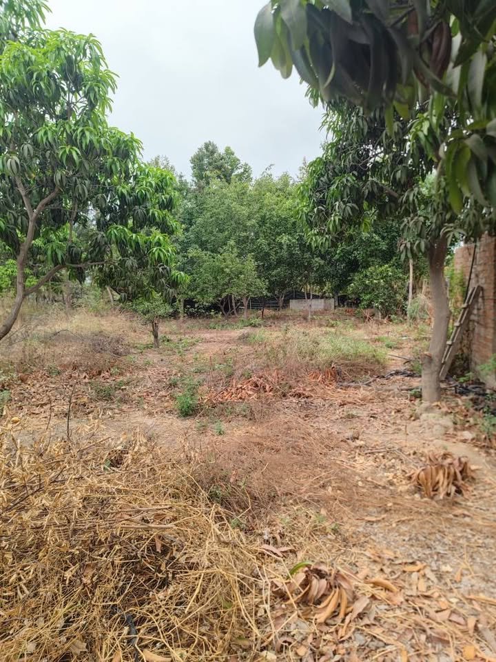 Lote en Motupe, Lambayeque — foto 3