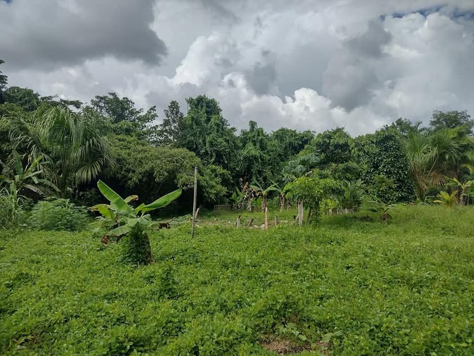Terreno en Iquitos, Loreto — foto 3