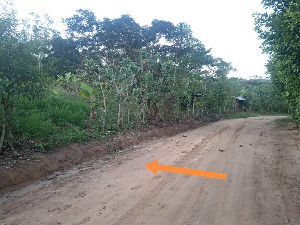 Lote en Moyobamba, San Martín — foto 6