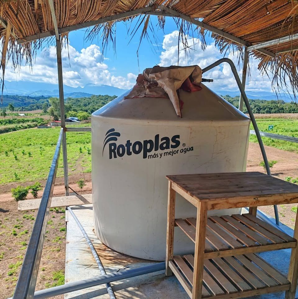 Lote en Tarapoto, San Martín — foto 4