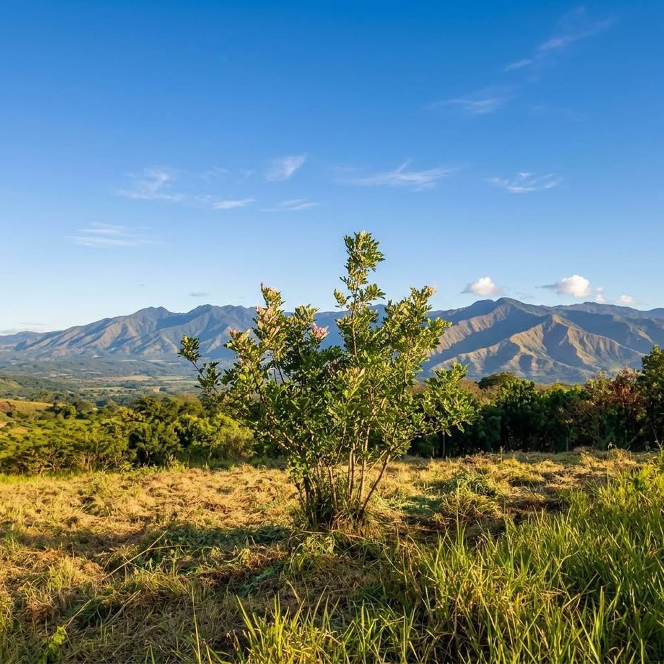 Lote en La Banda de Shilcayo, San Martín — foto 3