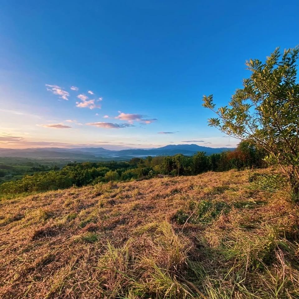 Lote en La Banda de Shilcayo, San Martín — foto 6