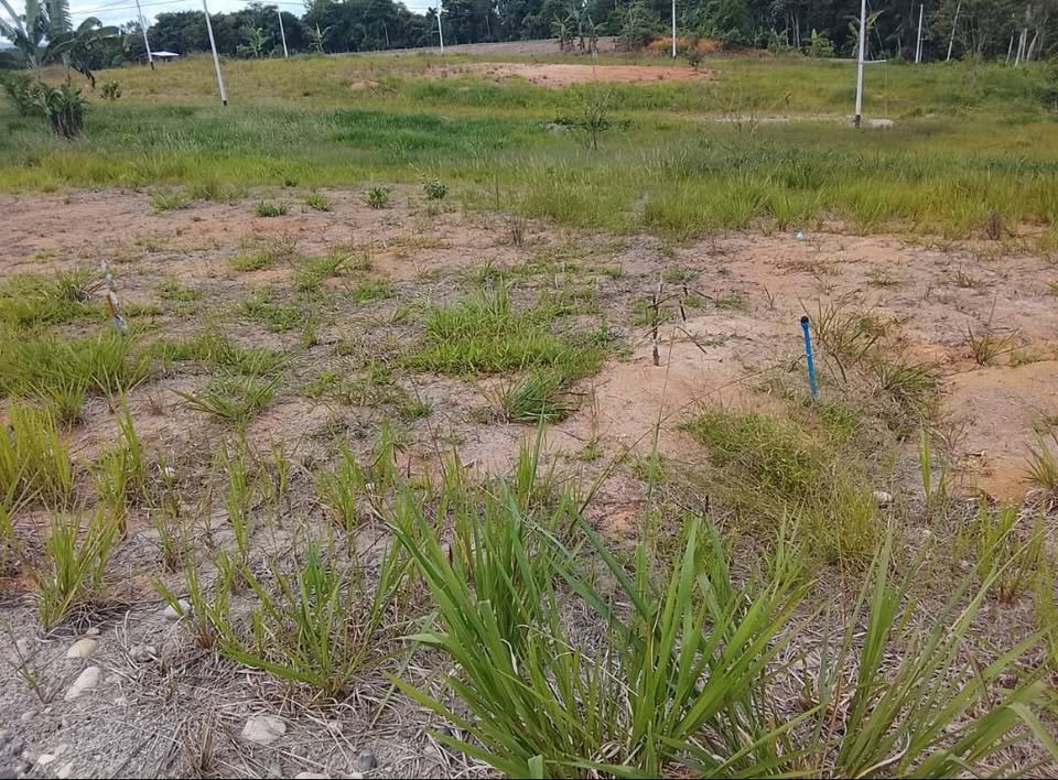 Lote en Moyobamba, San Martín — foto 3