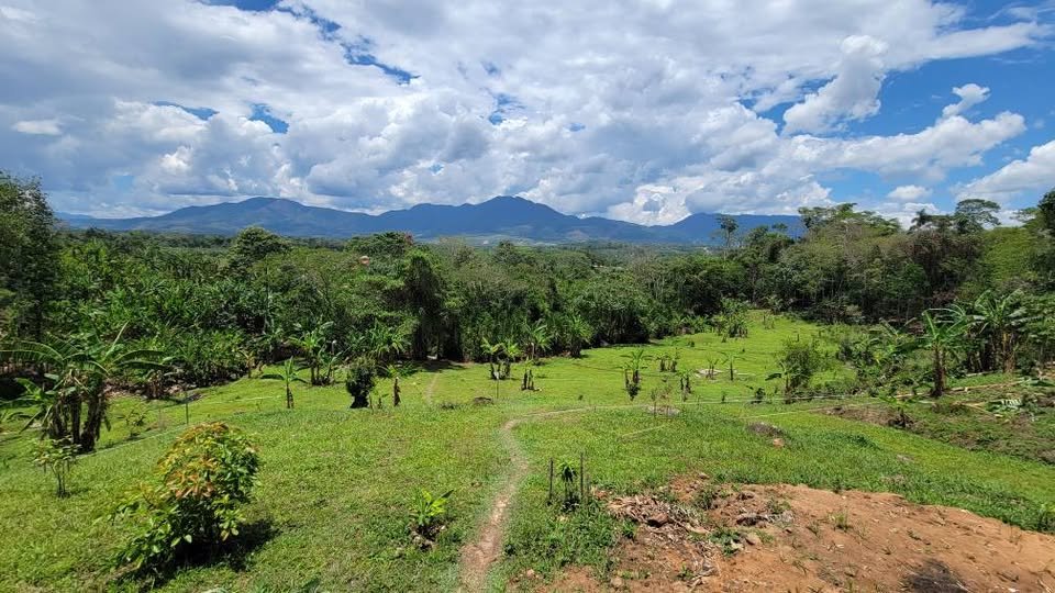 Lote en Moyobamba, San Martín — foto 2