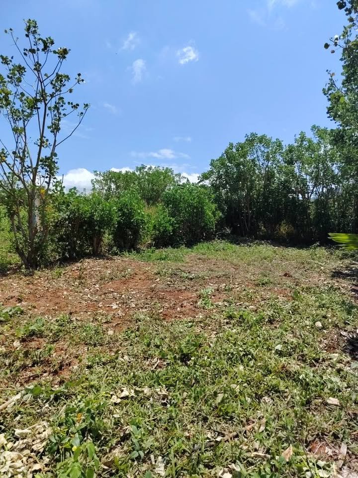 Lote en La Banda de Shilcayo, San Martín — foto 2