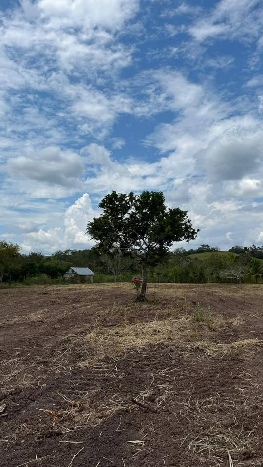 Terreno en Tarapoto, San Martín — foto 2