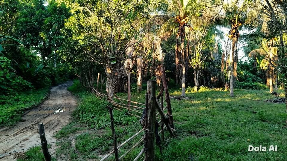 Chacra en Masisea, Ucayali — foto 3