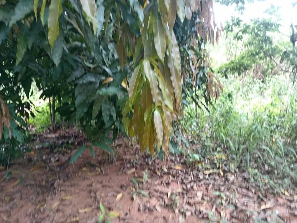 Lote en Tarapoto, San Martín — foto 2
