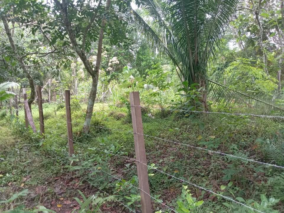Lote en Tarapoto, San Martín — foto 4
