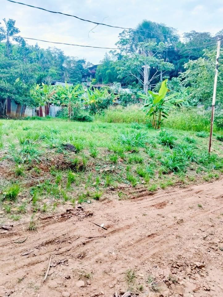 Lote en Morales, San Martín — foto 2