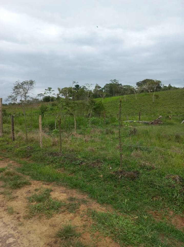 Lote en Moyobamba, San Martín — foto 2