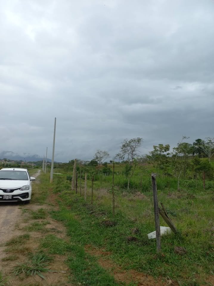 Lote en Moyobamba, San Martín — foto 6