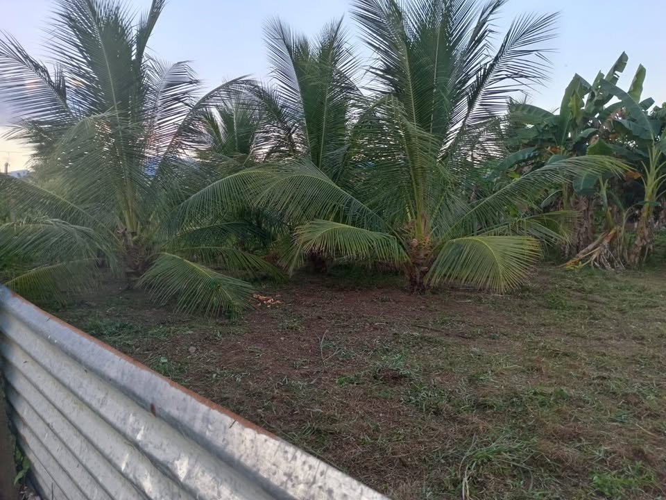 Lote en La Banda de Shilcayo, San Martín — foto 2