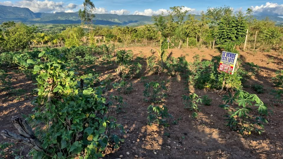 Lote en Tarapoto, San Martín — foto 2