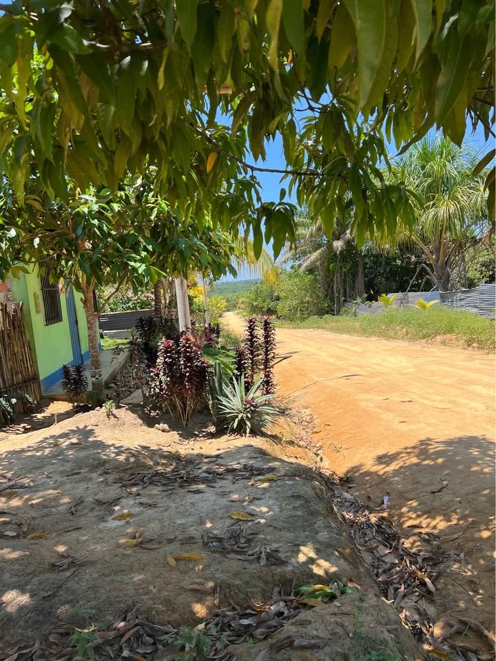 Lote en Yurimaguas, Loreto — foto 3