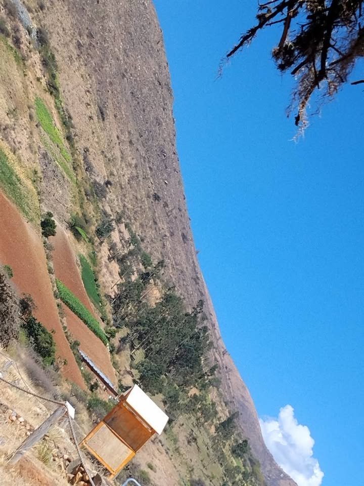 Chacra en Huánuco, Huánuco — foto 5