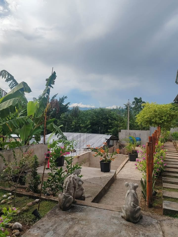 Casa con terreno en Tarapoto, San Martín — foto 3