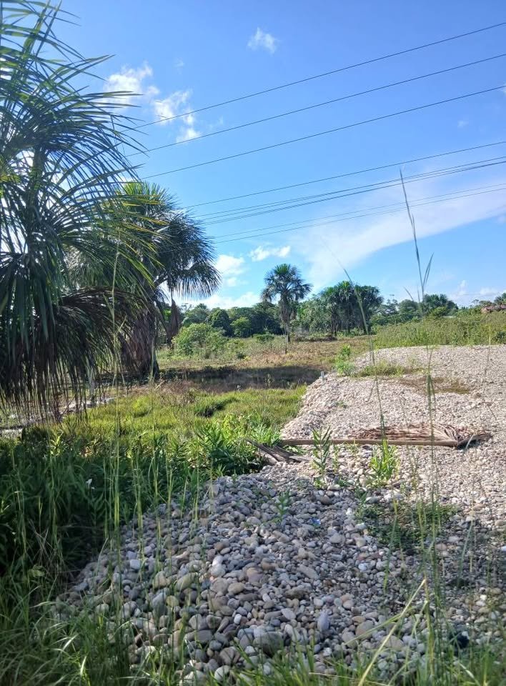 Terreno en Mariano Dámaso Beraún, Huánuco — foto 3