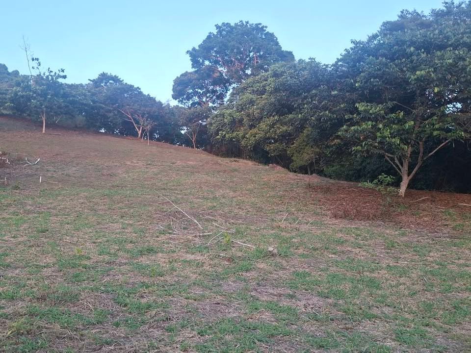 Lote en La Banda de Shilcayo, San Martín — foto 6